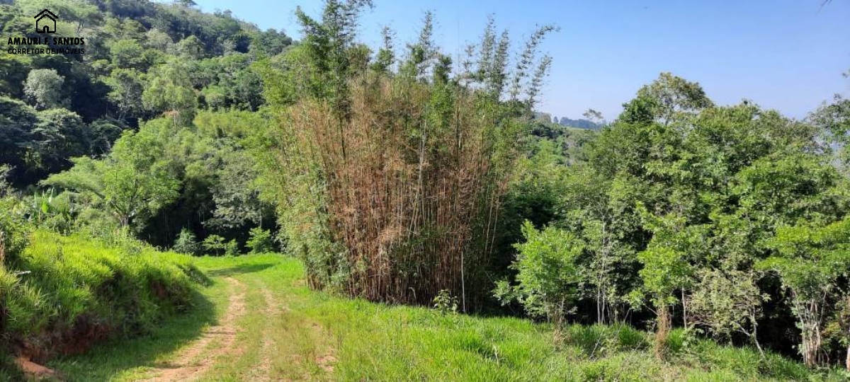 Chácara em , São Roque - 23.000m² a 800metros do centro da cidade - Foto 3